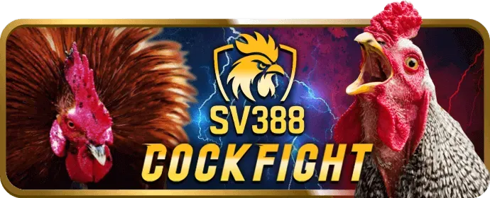 Dịch vụ chăm sóc khách hàng 566 win